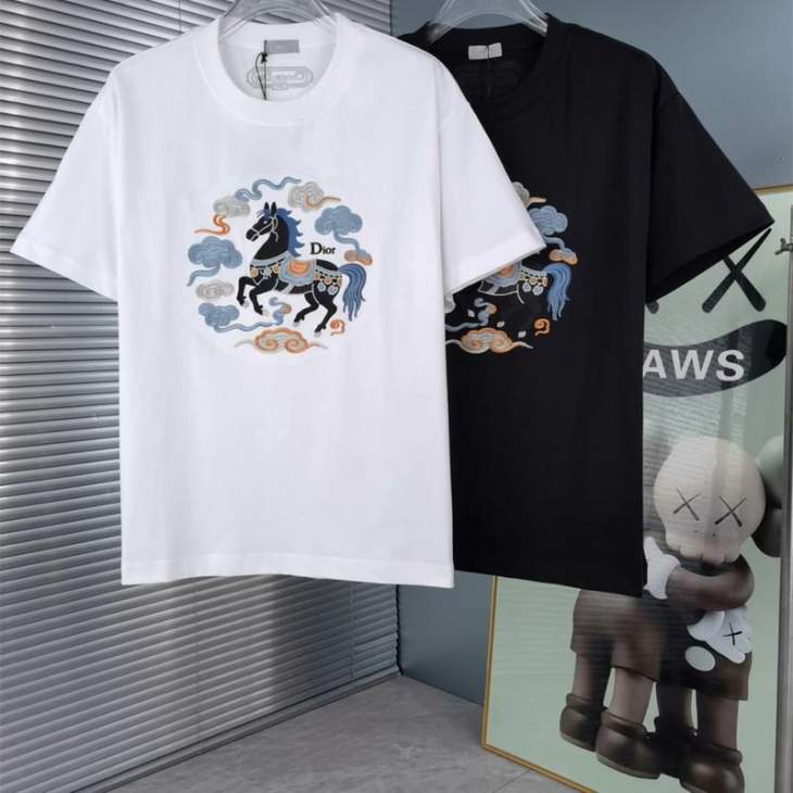 Picture of Dior T Shirts Short _SKUDiorS-2XL12yr53616152